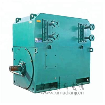 best-quality-chinese-6-6kv-AC-motor (3).jpg